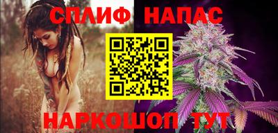 мдпв Ливны