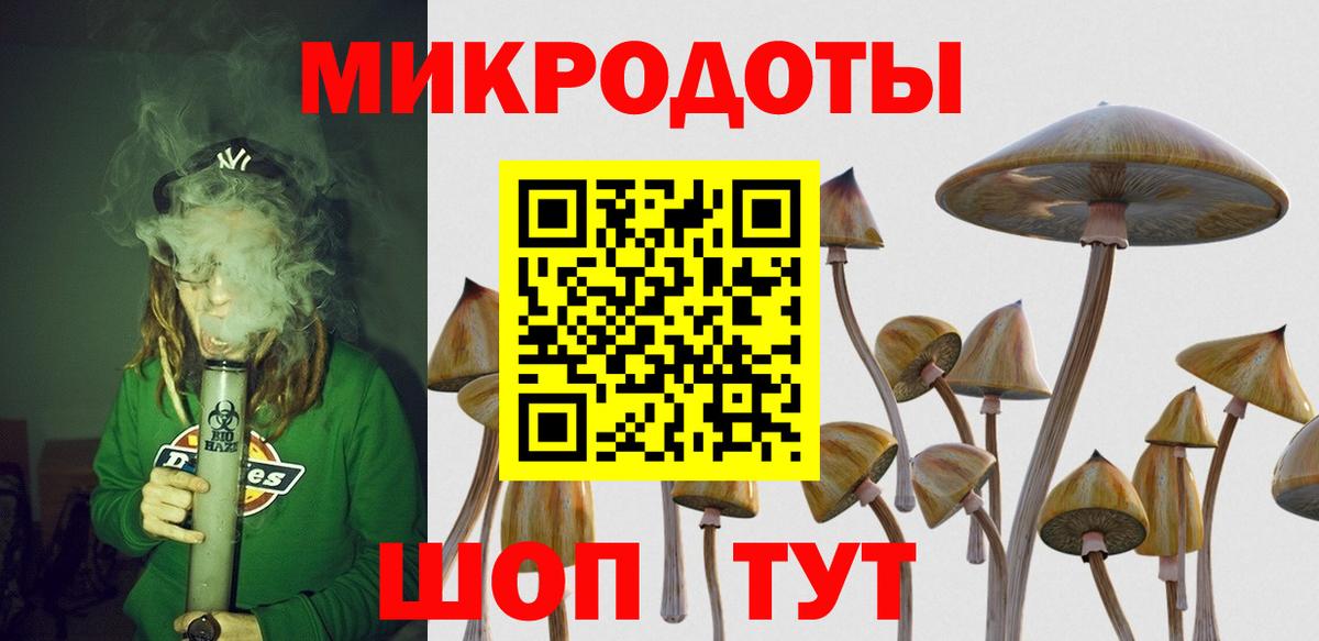 Галлюциногенные грибы мухоморы  где можно купить наркотик  Йошкар-Ола  Вход с VPN 